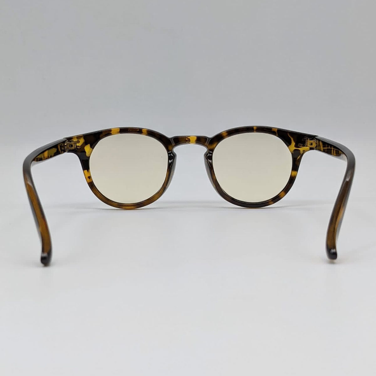 Multicolor Bold Women Glasses